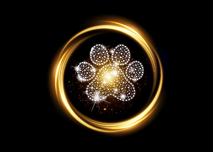 PAWZ RESCUE