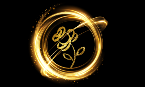 COSMIC ROSE PHOTOGRAPHY